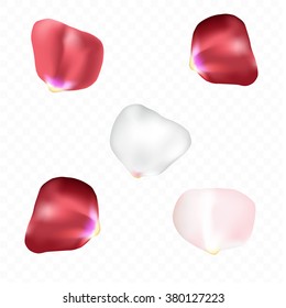 Beautiful set of red pink and white rose flower petal. Five big Roses petals vector isolated on transparent white. Mesh spring summer flowers rose petal concept. Tender romantic elements for design.