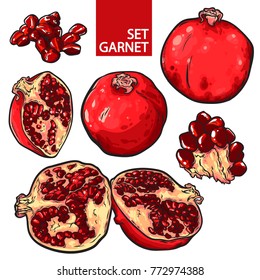 Beautiful set of ripe red pomegranate, vector illustration object set isolated on white background, can be used for some print or logotype, emblem, label.