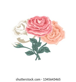 Beautiful set of roses of different color