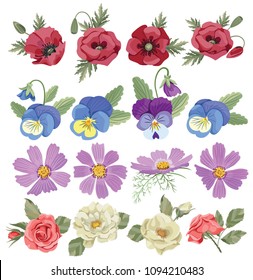 A beautiful set of summer flowers. Flowers vector set. Decorative elements