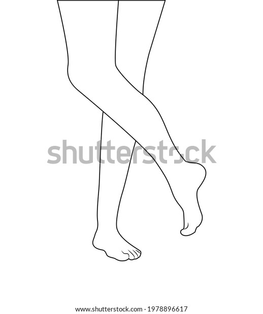 Beautiful Sexy Bare Legs Of Woman Silhouette Outline Drawing Vector Illustration Close Up Of 