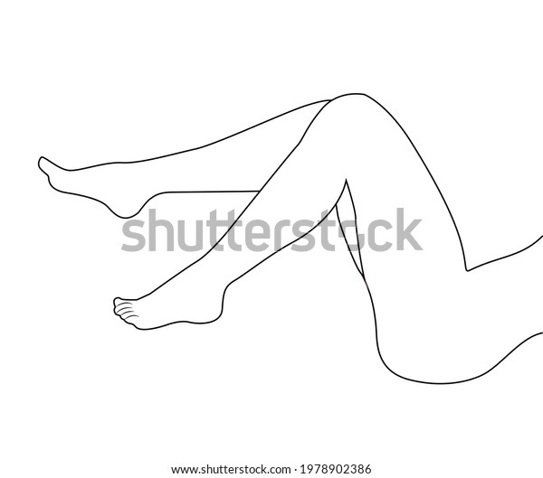 Beautiful Sexy Bare Legs Of Woman Silhouette Outline Drawing Vector Illustration Woman Lying 