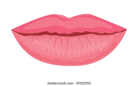 Beautiful sexy pink lips. Vector illustration.