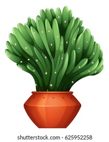 Beautiful shape of cactus in claypot illustration