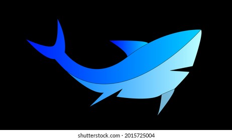 Beautiful shark on a black background