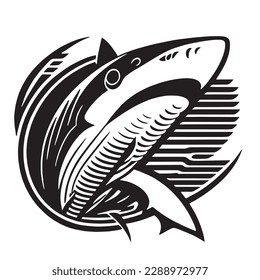 the beautiful shark vector design