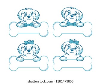 Beautiful Shelby Dogs. Cute dogs cartoon hand drawn vector illustration. Puppy boy and puppy girl. Сan be used for the logo