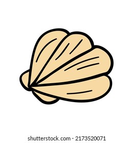 Schöne Muschel im Doodle-Stil. Symbol von Sommer und Meer. Finden Sie am Sandstrand. Einfache Ikone im Boho-Stil. Urlaubsartikel. Videokunst für Aufkleber, Verpackung, Postkarten.