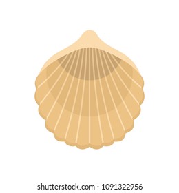 Beautiful shell icon. Flat illustration of beautiful shell vector icon for web