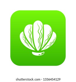 Beautiful shell icon. Simple illustration of beautiful shell vector icon for web