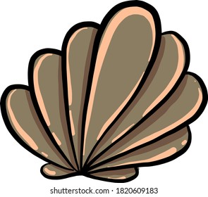 Hermosa concha, ilustración, vector sobre fondo blanco