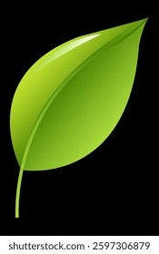 beautiful shiny leaf vector illustration
