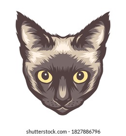 Beautiful Siamese cat face, for t-shirt design