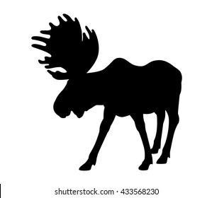 Beautiful silhouette of an adult moose with big antlers. Isolated on white.