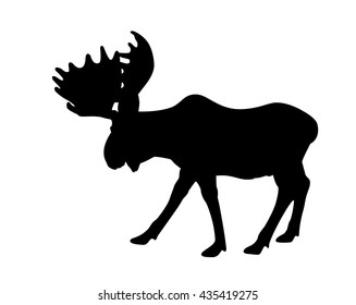 Beautiful silhouette of an adult moose with big antlers. Isolated on white.