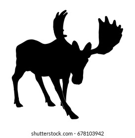 Beautiful silhouette of an adult moose with big antlers. Isolated on white.