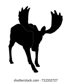 Beautiful silhouette of an adult moose with big antlers. Isolated on white.