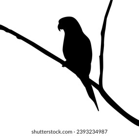 a beautiful silhouette bird vector