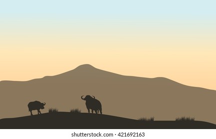 Beautiful silhouette of bull in hill  with mountain backgrounds