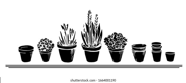 Beautiful silhouette contour set with flowerpots, flower, pot. Collection of isolated black elements on a white background. Art hand drawn vector illustration object. Home, garden, Interior concept.