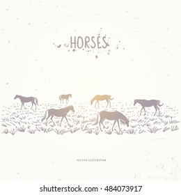 Beautiful silhouette herd horses in the field. Vector illustration