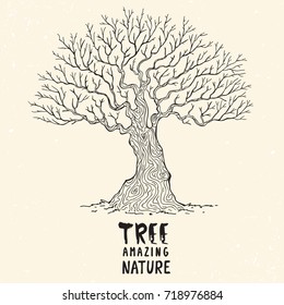 Beautiful silhouette of a huge and beautiful tree. Vector illustration, sketch
