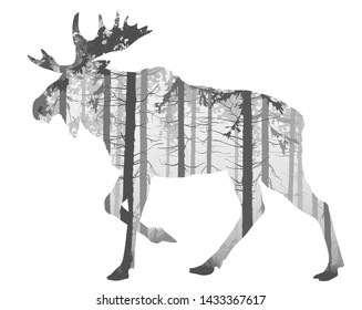 Beautiful silhouette of a running moose for your design. Inside is a pine forest. Black white isolated object. Vector illustration