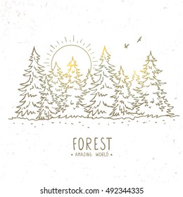 Beautiful Silhouette Sketch Amazing Spruce Forest With Sunrise. Stylish Vector Illustration