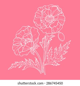 Beautiful silhouette of white poppies on a pink background