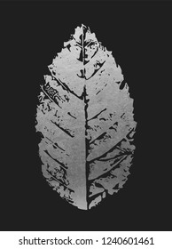 Beautiful Silver Leave