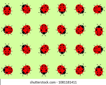 The beautiful simple design of the light green background from the red ladybirds