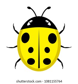 A beautiful simple design of an yellow ladybird on a white background