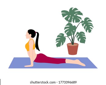 Beautiful simple flat vector of a young slim woman exercising yoga. Cobra pose.