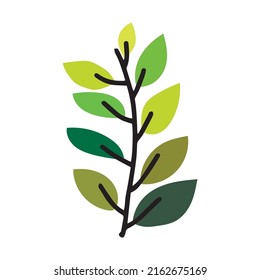 Beautiful simple floral and leaves plant. popular hand drawn