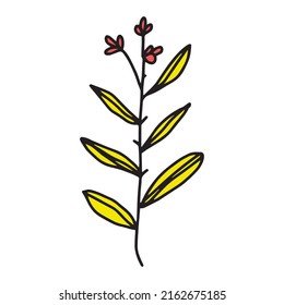 Beautiful simple floral and leaves plant. popular hand drawn