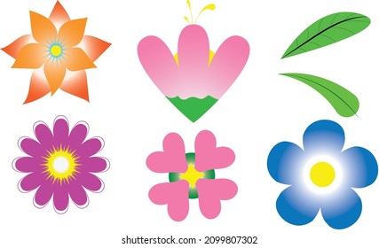 beautiful simple flower and leaf template vector design 2D draft concept sample rose jasmine ixora 