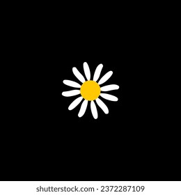 Beautiful single flower, daisy flower isolated on black background. Minimalist vector design.