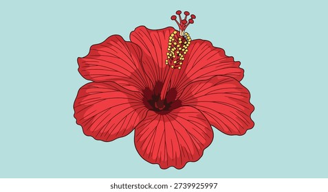 A beautiful single red hibiscus flower with prominent stamen and petals, set against a simple light blue background, perfect for tropical themes.