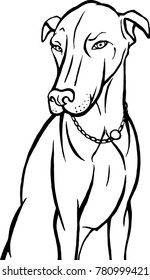 Beautiful sitting dog Doberman. The outline coloring book illustration isolated on a white background. 
