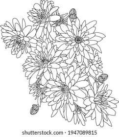 Beautiful sketch flower on white background.