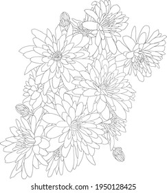 Beautiful sketch flower on white background