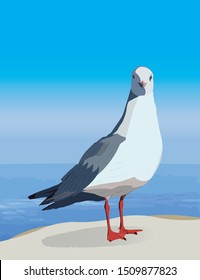 beautiful smart seagull standing in front of the sea draw in vector