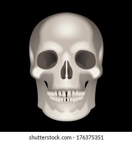 beautiful smooth skull
