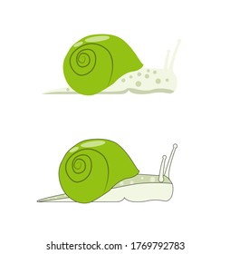 Beautiful snail in vector graphics.