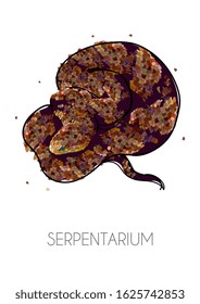 Beautiful snake rolled up in a ball. Vector hand drawn illustration. All objects are grouped and isolated. Lettering serpentarium. EPS 10