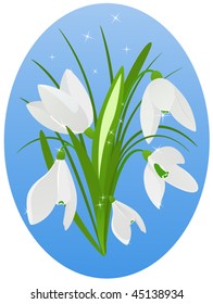 Beautiful snowdrop on blue background