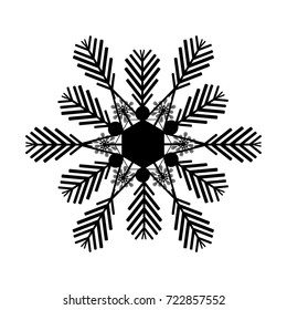 beautiful snowflake on white background