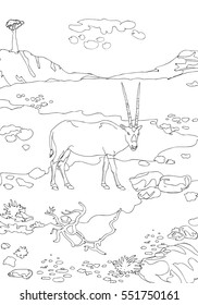 Beautiful Socorrista cloven-hoofed gazelles of Socotra, plants and animals of the desert made decorative lines. Vintage engraving for color. Black and white coloring pages for adults.