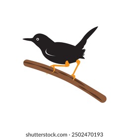 beautiful songbird icon illustration template design