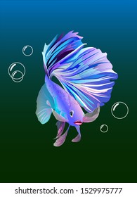 Beautiful, sparkling, magic fish queen swimming under water vector